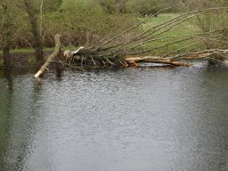 p1000071